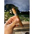Warped Limited Edition El Oso Blanco 6  * 48