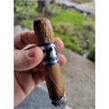 Acid 20 Connecticut Toro 6  * 54