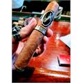 Davidoff Limited Edition 2022 Gran Toro 5 1/2 * 58