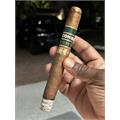 Cohiba Serie M Corona Gorda 6 1/2 * 48