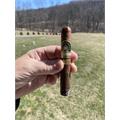 Ferio Tego Metropolitan Host Maduro Hobart 5  * 50