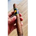 CAO BX3 Toro 6  *  54