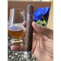 ADVentura Barbarroja s Invasion Toro 6  * 54