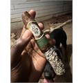 Casa 1910 Cavalry Edition Lucero 6  * 54