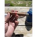 Cuba Aliados Natural Torpedo 6  * 54