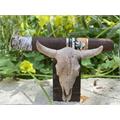 Foundation Olmec Claro Corona Gorda 5 1/2 * 48
