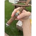 Foundation Olmec Claro Robusto 5  * 50