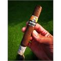 Foundation Olmec Maduro Toro 6  * 52
