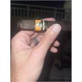 Foundation Olmec Maduro Grande 6  * 60