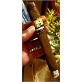 Foundation Olmec Maduro DB Corona 7  * 54