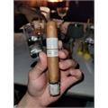 Patoro Terre Blanche Robusto 5  * 50