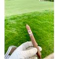 Highclere Castle Senetjer Perfecto 6 3/4 * 52