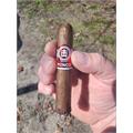 Punch Spring Roll Robusto 4 1/2 * 50