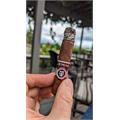 Punch Spring Roll Robusto 4 1/2 * 50