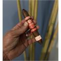 Plasencia TAA Alma del Fuego Cortez 5 3/4 * 56