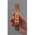 Perdomo 30th Anniversary Connecticut Robusto 5  * 54