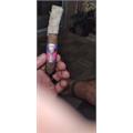 Foundation Aksum Maduro Robusto 5  * 50