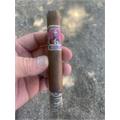 Foundation Aksum Claro Corona Gorda 5 1/2 * 48