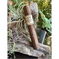 Leaf by Oscar 10th Anniversary Criollo Sixty 6  * 60