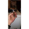Aladino Sumatra Toro 6  * 52