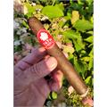 Room 101 14th Anniversary Toro 6  * 52