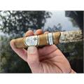 Rocky Patel Dark Star Toro 6  * 52