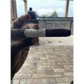 Kristoff 2023 PCA Signature Series 6 1/4 * 54