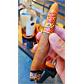 Gurkha Year of the Dragon 2024 6 3/4 * 52