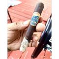 Foundation Charter Oak Pasquale 5 1/2 * 48