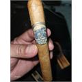 Foundation Charter Oak Pegnataro 5 1/2 * 48