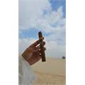 Foundation Charter Oak Pegnataro 5 1/2 * 48
