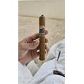 Foundation Charter Oak Pegnataro 5 1/2 * 48