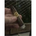 Warped La Colmena Black Honey 5  * 48