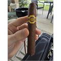 Warped La Colmena Black Honey 5  * 48