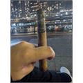 Chateau Real Shade Gran Templar Toro 6  * 50