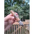Room 101 Johnny Tobacconaut Perfecto 6  * 56