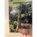 Room 101 Johnny Tobacconaut Toro 6  * 52