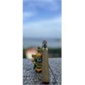 Aladino Candela Toro 6  * 50