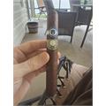 Warped El Oso 10th Anniversary Toro 6  * 50
