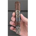 Circle of Life Robusto 5  * 52