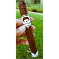 CAO FASA Noche Toro 6  * 50