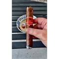 CAO FASA Sol Gigante 6  * 60
