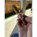 AVO Expressions Limited Edition 2024 6 1/2 * 50