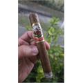 El Mago Solstice 6  * 48
