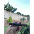 Warfighter Night Shift Toro 6  * 50