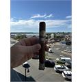 Warped Don Reynaldo 10th Anniversary Toro 6  * 50