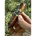 Warped Isla del Cocodrilo Toro 6  * 52