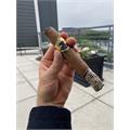 Warped Isla del Cocodrilo Toro 6  * 52