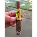 Blackbird Cactus Wren Toro 6  * 52