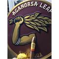 Aganorsa Leaf Supreme Leaf Royal Perfecto 5 1/2 * 52